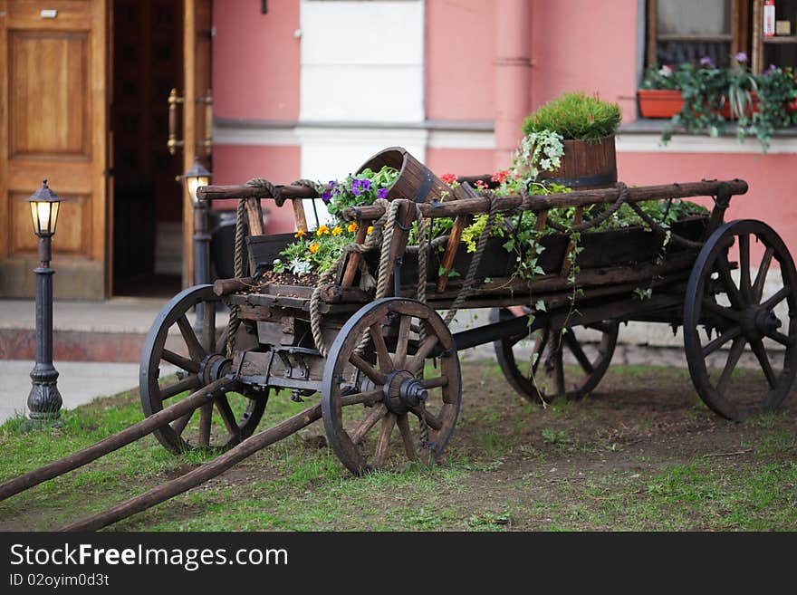 Old cart with flowers