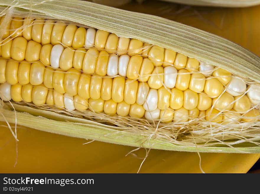 An ear of corn with husks and silk shot very close up. An ear of corn with husks and silk shot very close up.