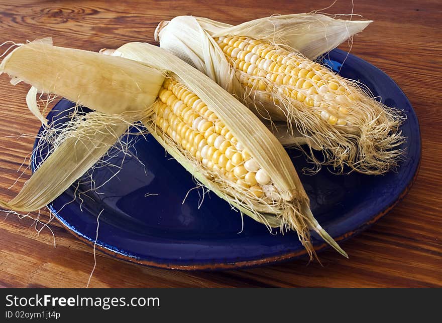 Corn in Husks on Yellow Plate