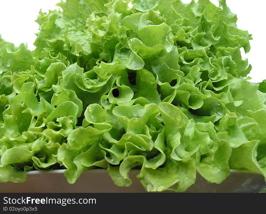 Salad leaves on a plate. A white background