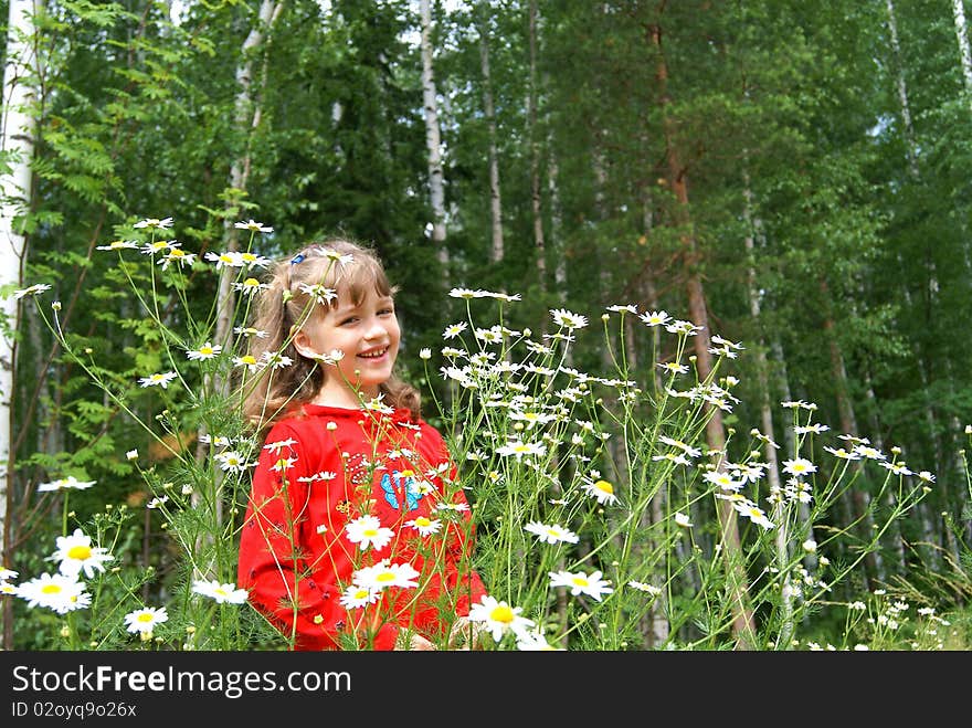 The nice girl stands in the summer on the nature about camomiles and smiles. The nice girl stands in the summer on the nature about camomiles and smiles