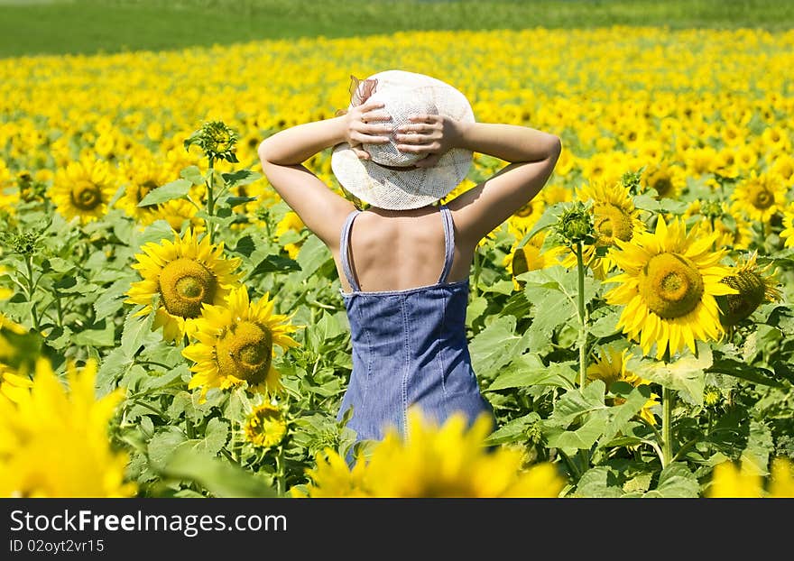 Young beautiful woman in a sunflower field. Young beautiful woman in a sunflower field