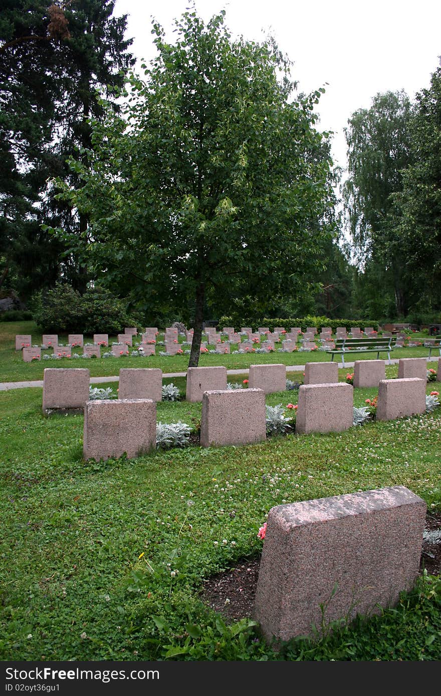 Rows of soldier graves in a graveyard. Rows of soldier graves in a graveyard