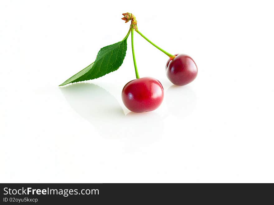 Two cherries, on small branch, with slip, close-up, on light background, copy space. Two cherries, on small branch, with slip, close-up, on light background, copy space.