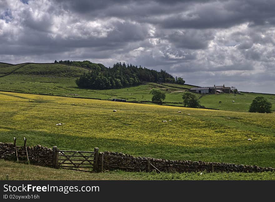 A Northumbrian farm beyond a traditional English hay meadow, with a gate & dry-stone-wall in the foreground