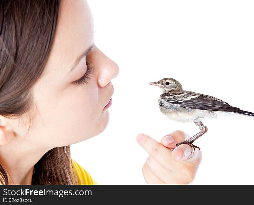 Nestling Of Bird (wagtail) On Hand