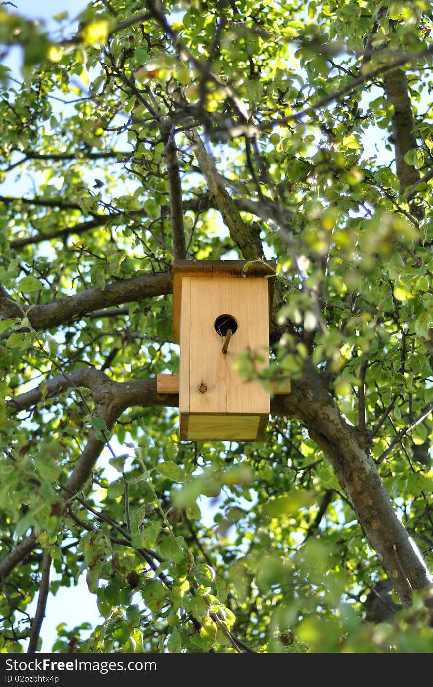 Birdhouse