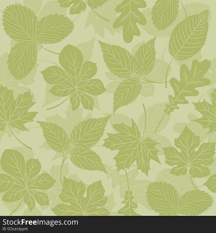 Seamless background with a leaves. Vector illustration. Seamless background with a leaves. Vector illustration.