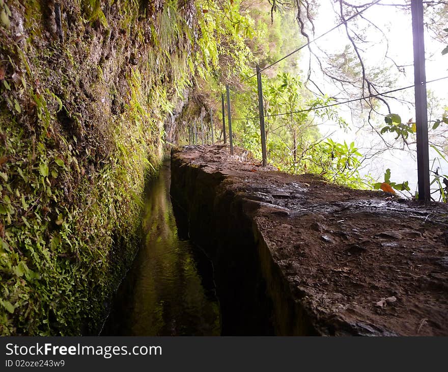 Walkway through levada of Madeira