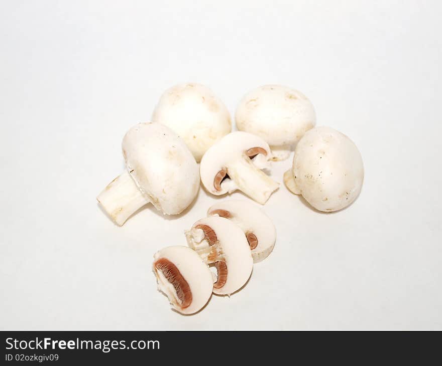 Agaricus bisporus on a white background