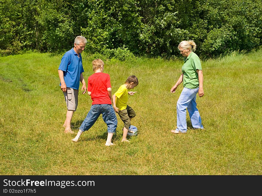 Portrait of a happy family playing on the grass