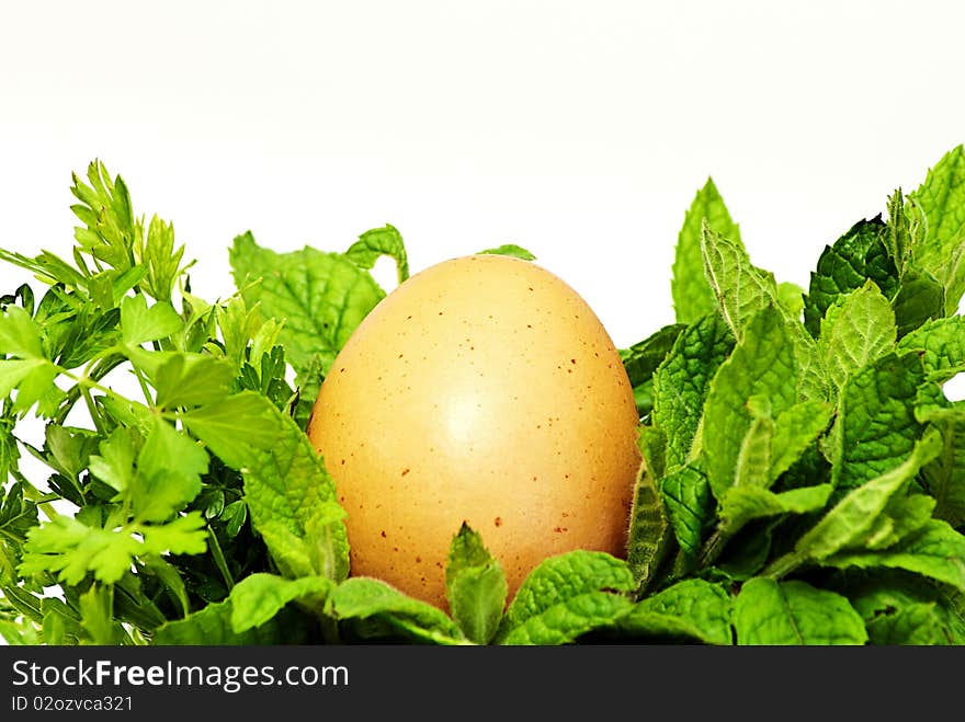 Egg between mint and parsley