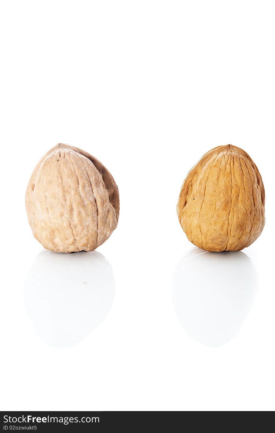 Two walnuts on white background