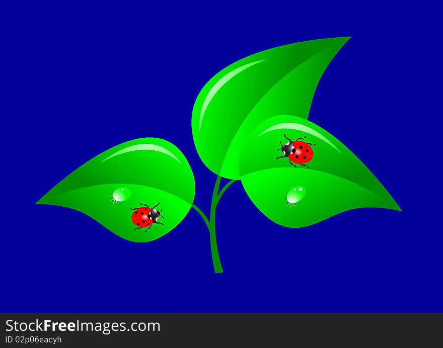 Green tree with ladybugs. Vector. Green tree with ladybugs. Vector.