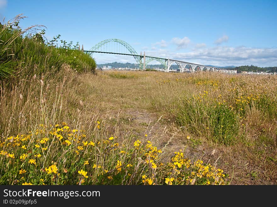 Bridge behind a field of wild flowers in Newport, Oregon. Bridge behind a field of wild flowers in Newport, Oregon.