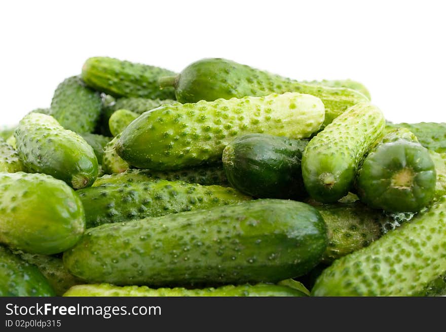 Green cucumber on white background