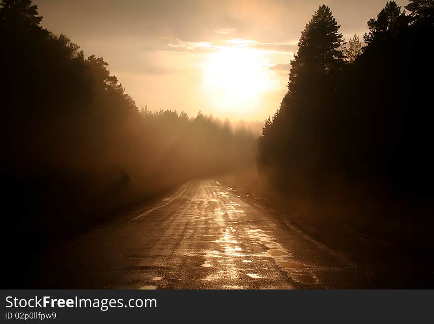 Foggy road