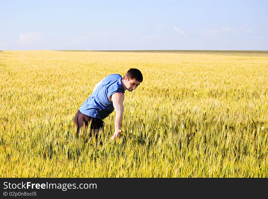 The guy spends a hand on wheat ears. The guy spends a hand on wheat ears