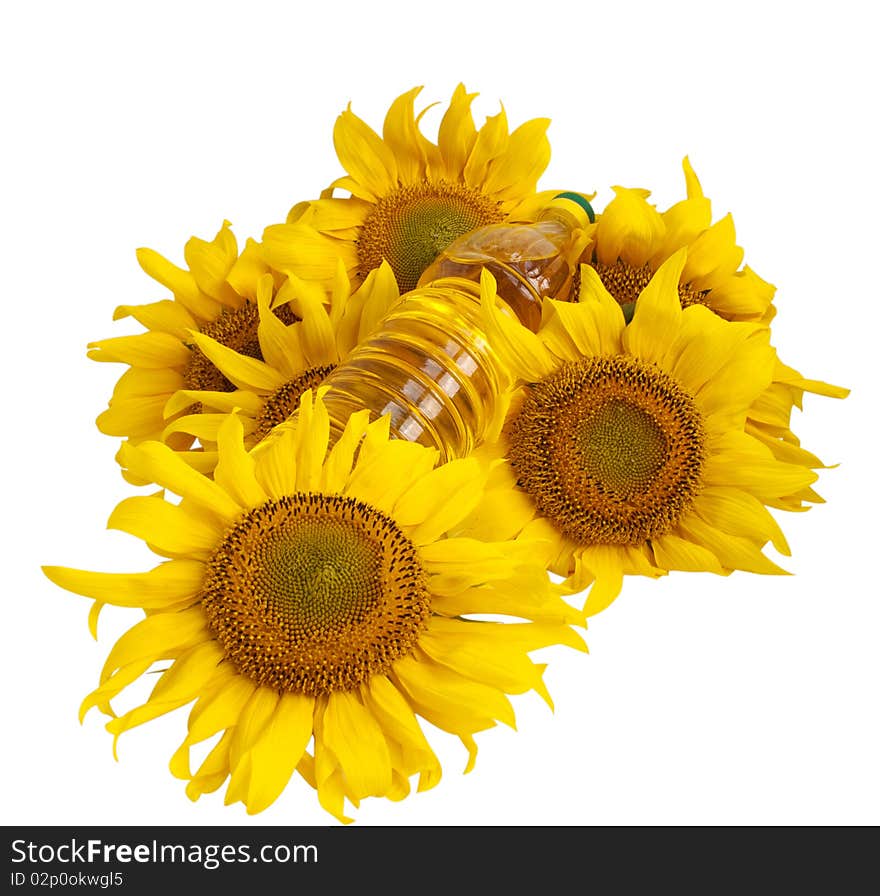 Sunflower oil and sunflower on white background
