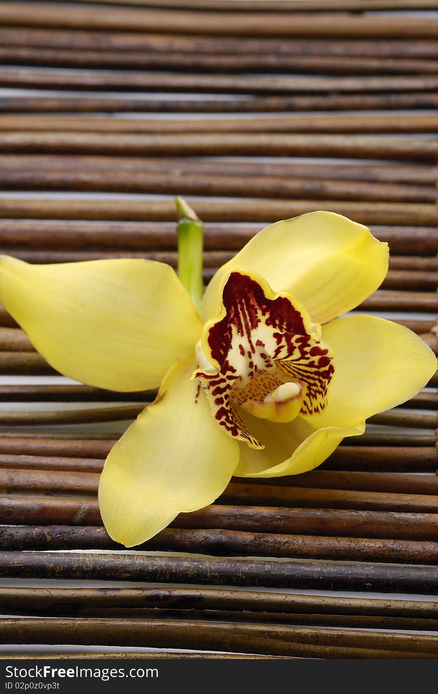 Orchid flower on bamboo mat