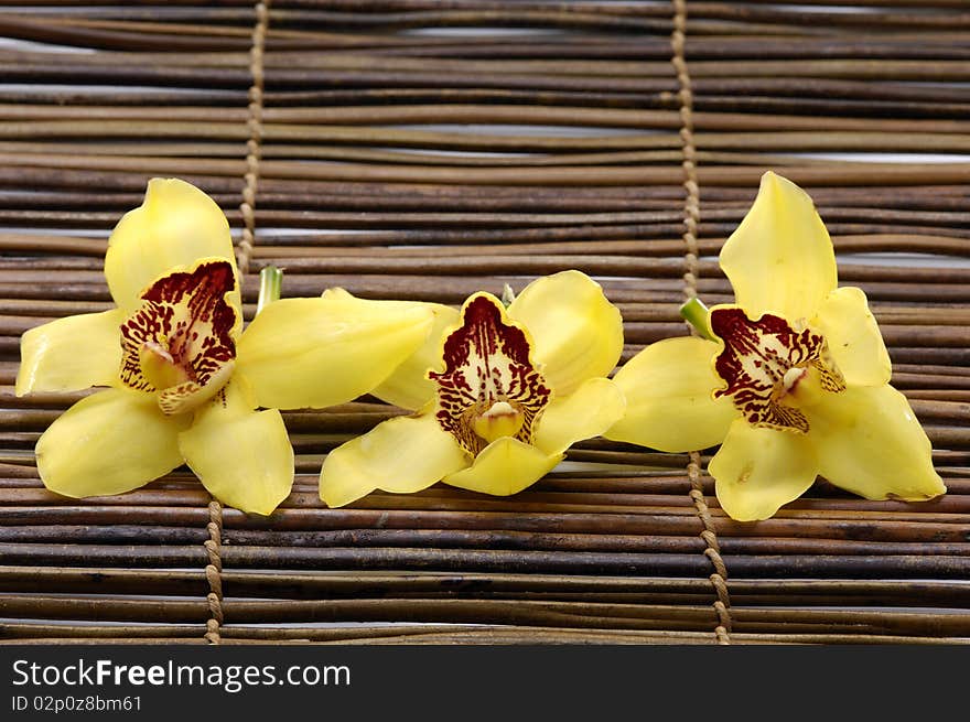 three orchid flower on bamboo mat