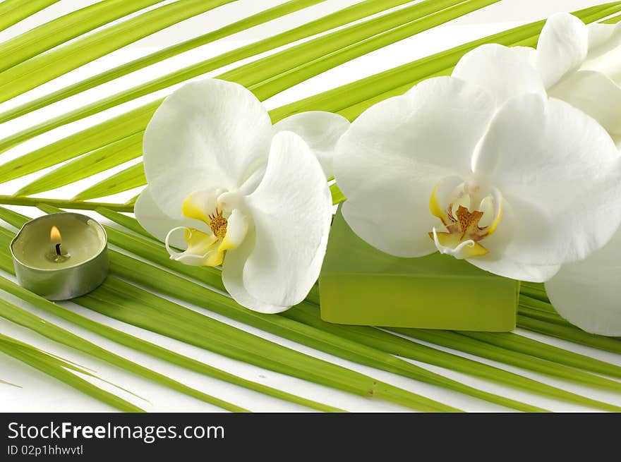 Image of resort tropical spa background