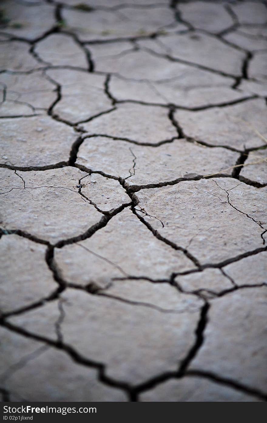 Cracked Soil