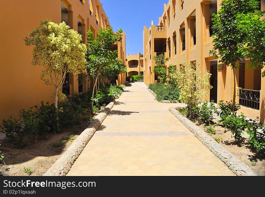 Small street with the planted trees