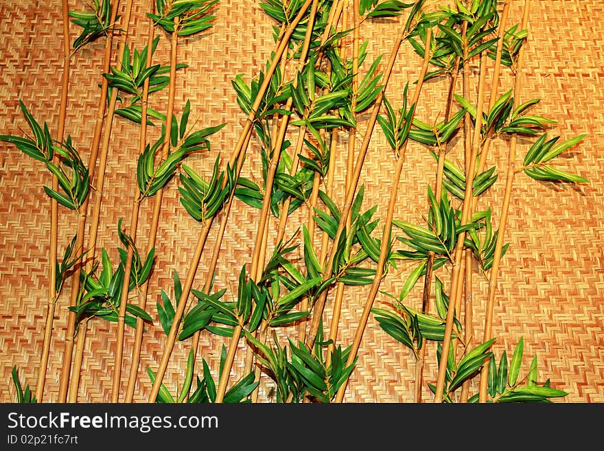 Beautiful green bamboo for decorate