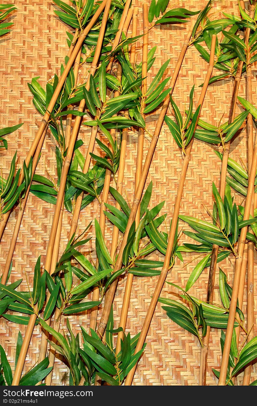 Beautiful green bamboo for decorate