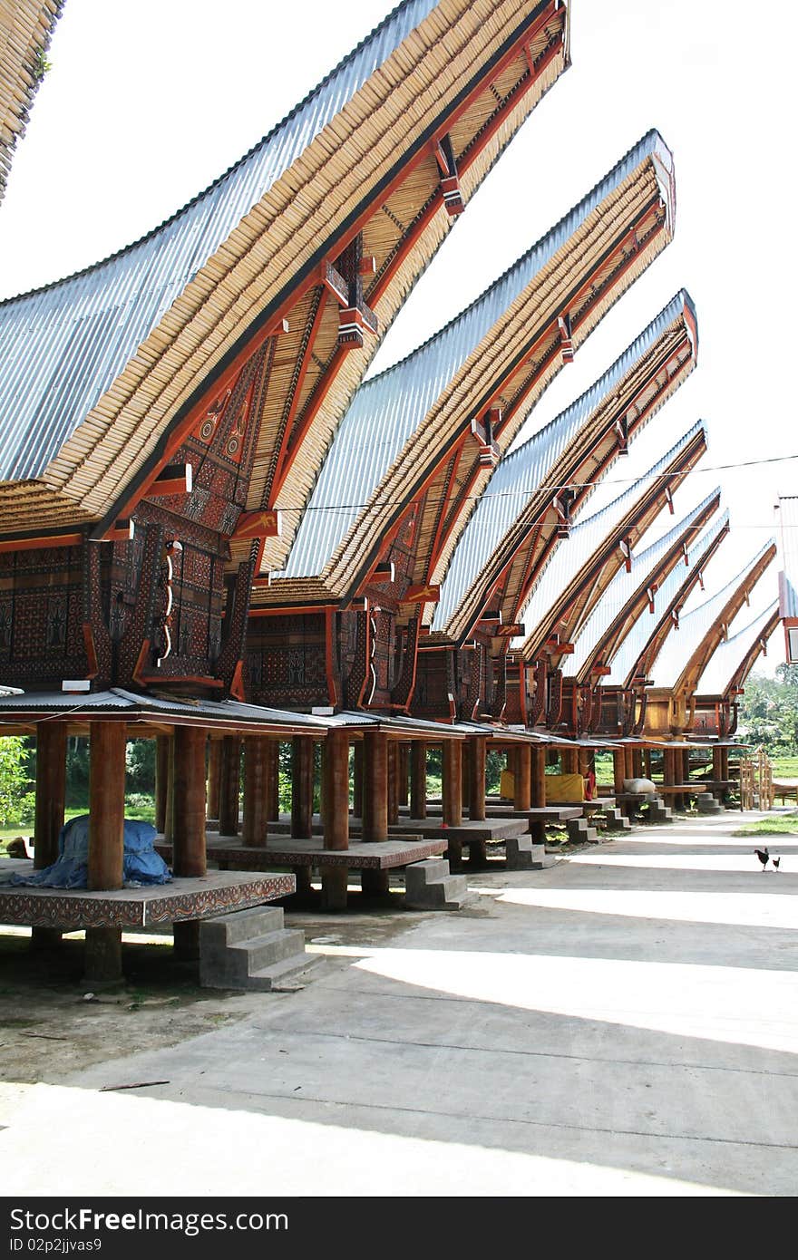 Toraja barns