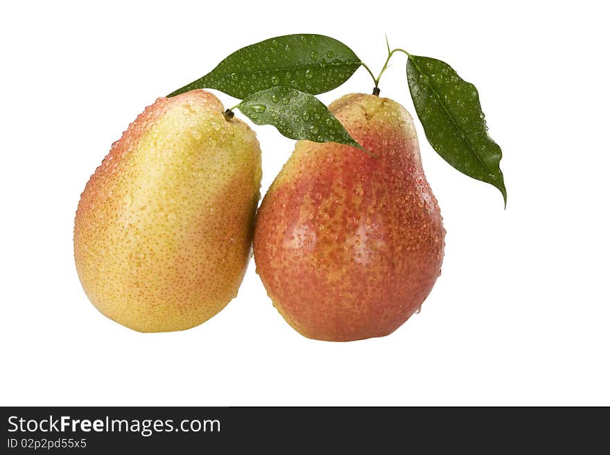 Two Pear with drops of dew on a white