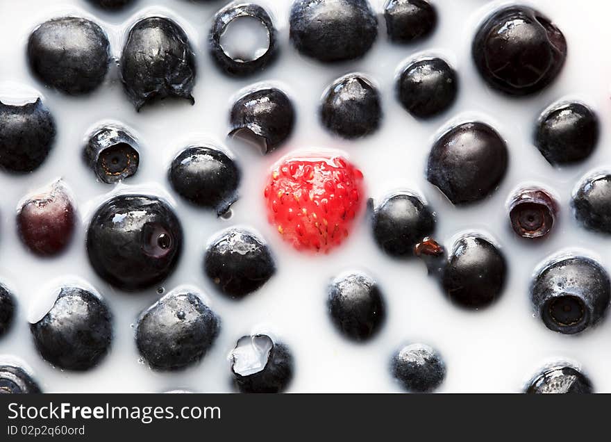 Blueberries in milk