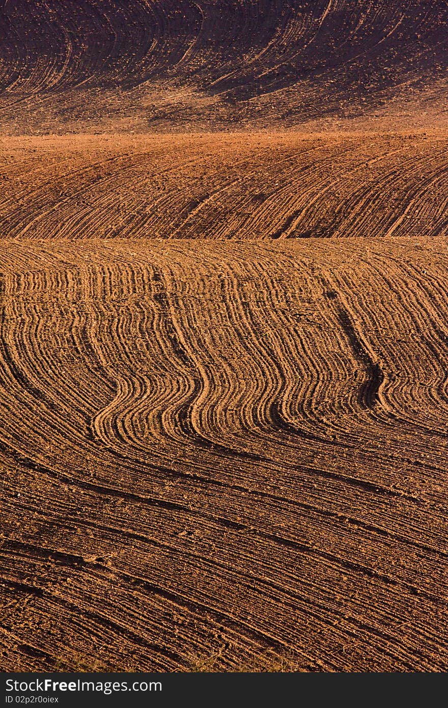 Ploughed Field