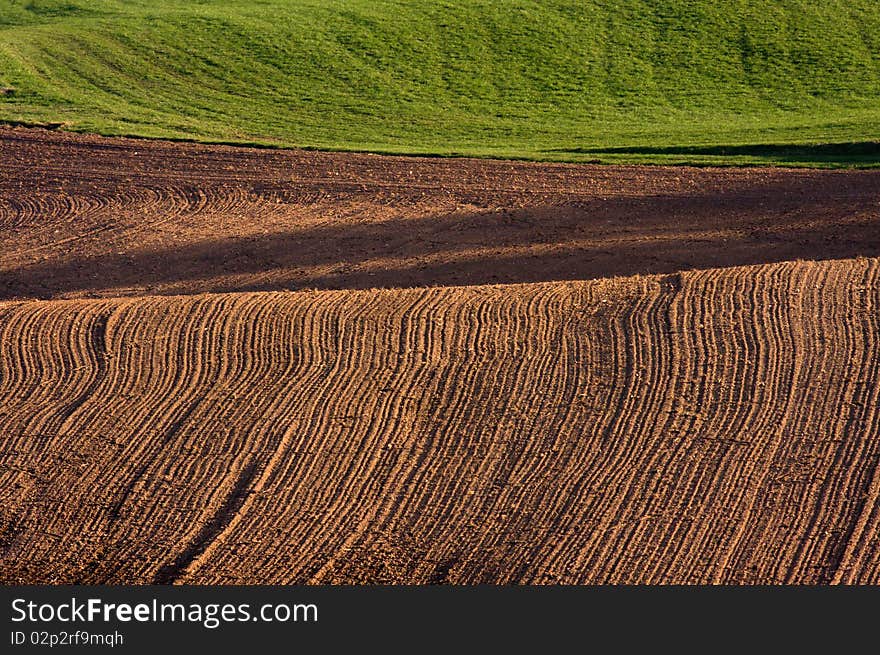 Ploughed field