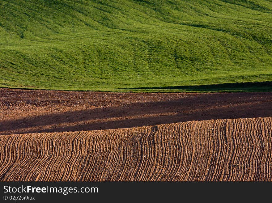 Ploughed field