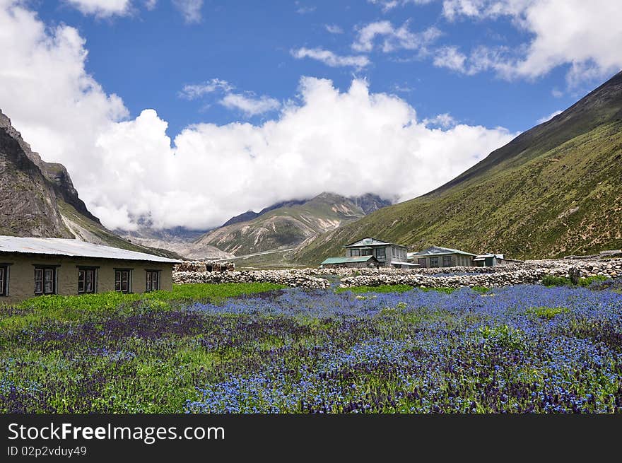 Himalayan Valley