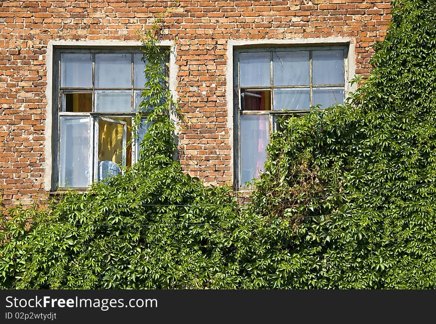 A pair of windows in an old brick wall. Leaves plant closes a small portion of the windows. Detail of the facade. Outdoor. A pair of windows in an old brick wall. Leaves plant closes a small portion of the windows. Detail of the facade. Outdoor.