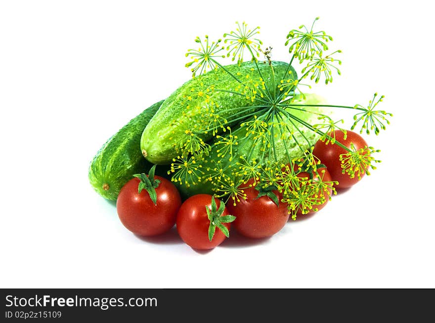 Fresh tomatoes cucumbers and dill isolated on white. Fresh tomatoes cucumbers and dill isolated on white