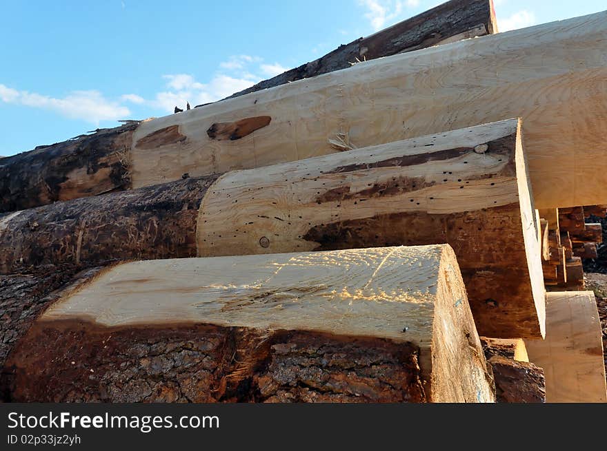 A huge assortment of trunks shot at a sout-west German sawmill