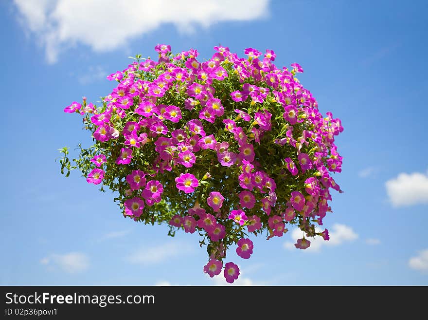 Pink Flower Bouquet