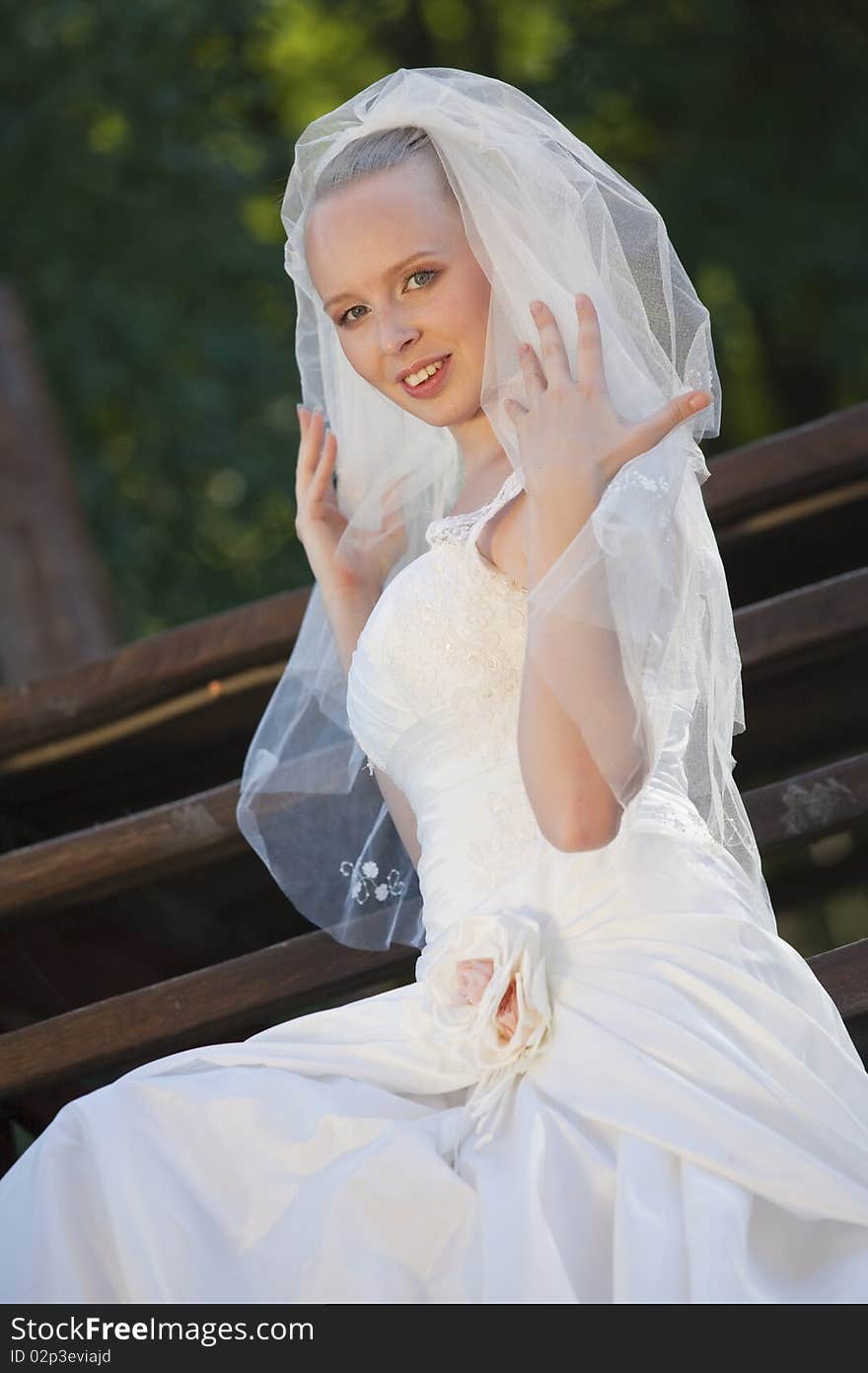 Happy Bride With Veil