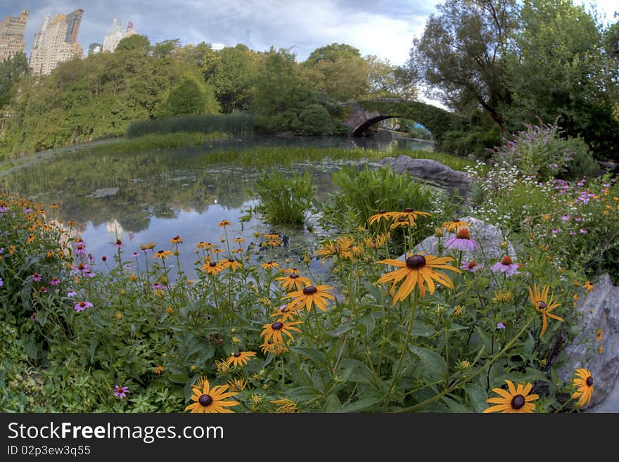 Summer in Central Park by the pond with flowers at the Gapstow bridge