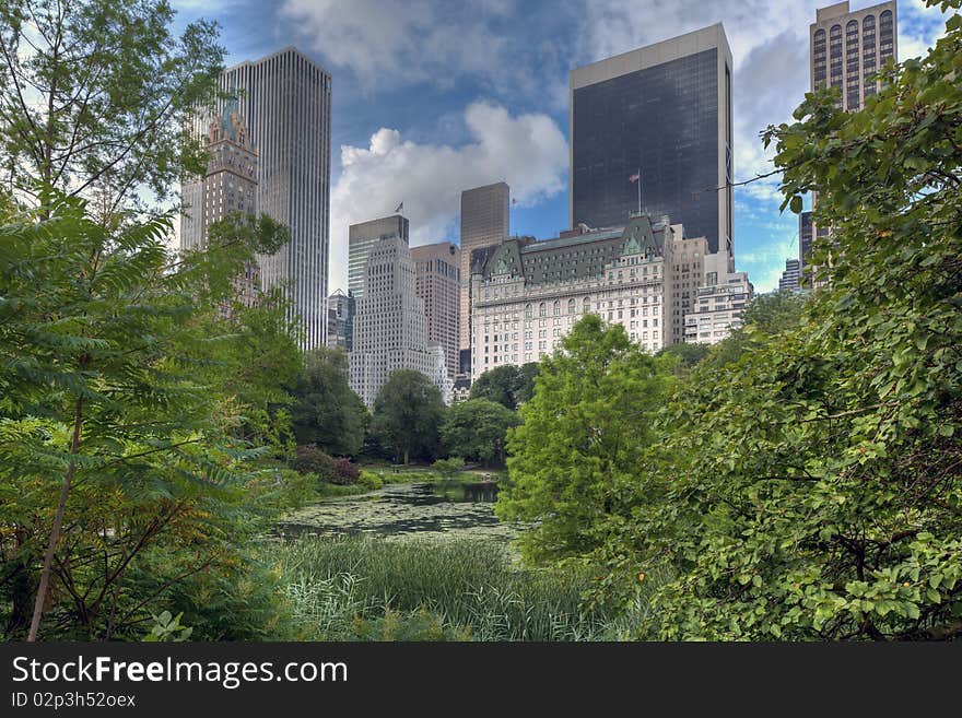 Central Park in the early morning