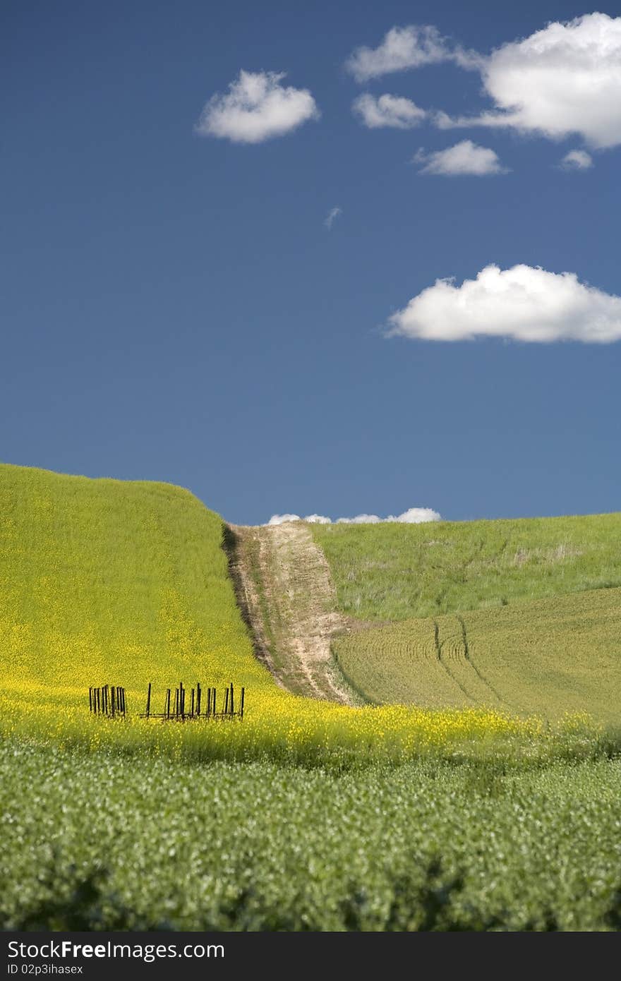 A bright sunny day in the palouse farm region near Steptoe, Washington. A bright sunny day in the palouse farm region near Steptoe, Washington.