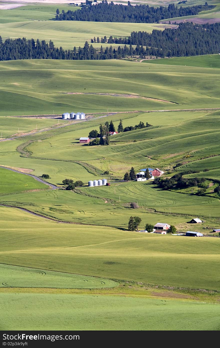 A small road winds its way through the Palouse farmland near Steptoe BUtte, Washington. A small road winds its way through the Palouse farmland near Steptoe BUtte, Washington.