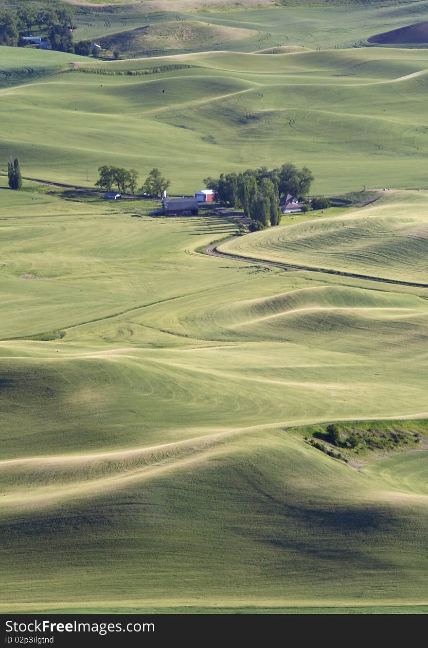 Palouse farmland.