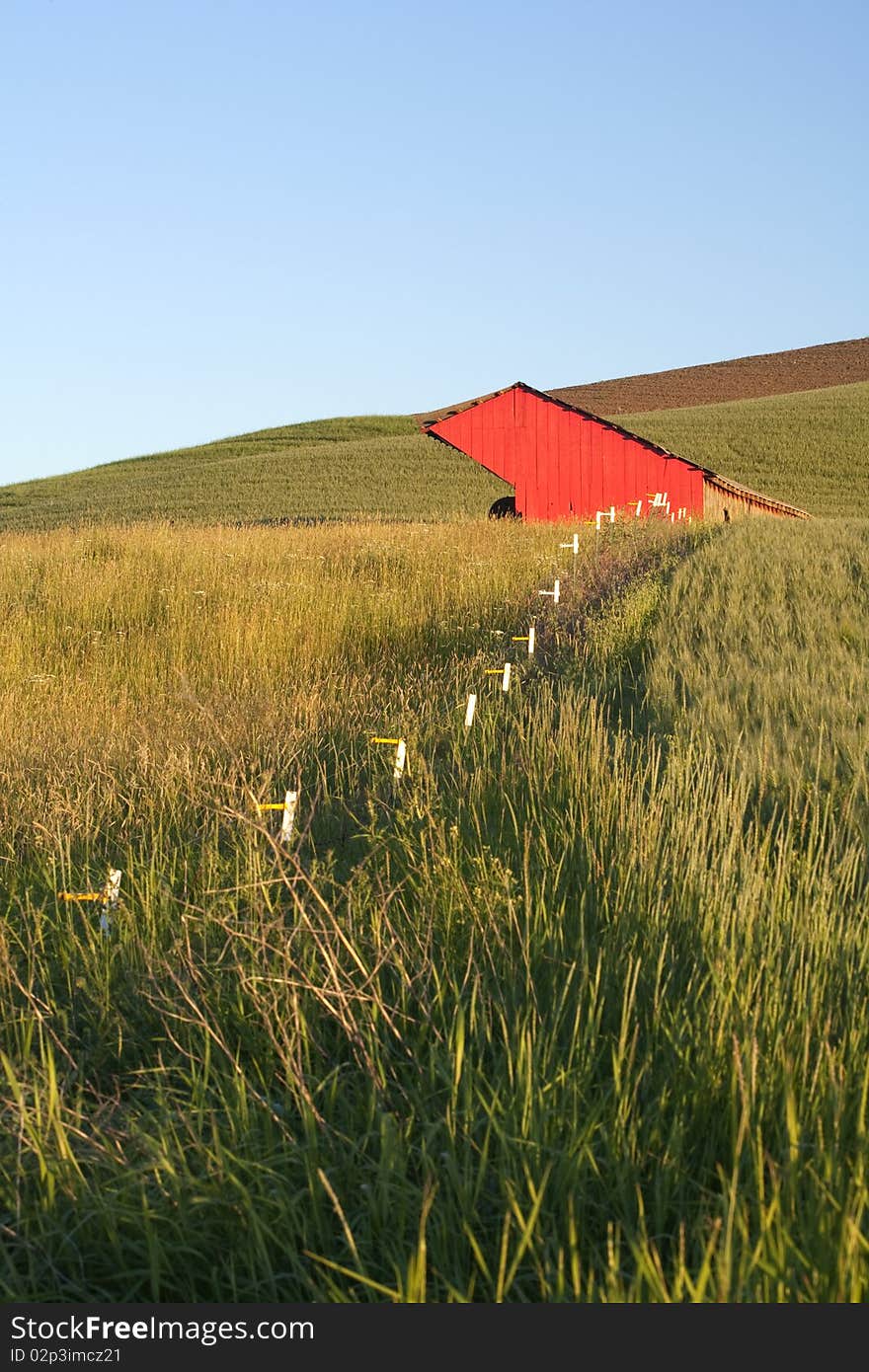 A wire fence leads to a red barn in a green field. Palouse region of Washington. A wire fence leads to a red barn in a green field. Palouse region of Washington.