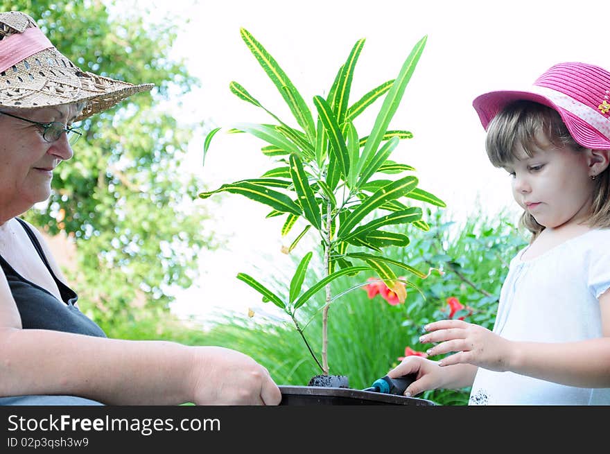 Grandmother and grandson plant plant