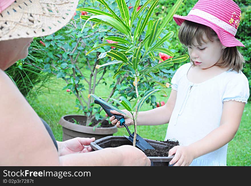 Grandmother and grandson plant plant